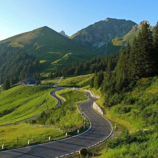 Lesná cestička s jemným svetlom, pozývajúca na pokojný krok